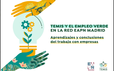 Aprendizajes y conclusiones del trabajo con empresas – Experiencia del proyecto Temis